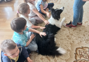 Dzieci siedzą na dywanie i głaszczą psa rasy border collie.