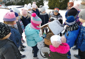 „Promyczki” dokarmiają ptaki w przedszkolnym ogrodzie.