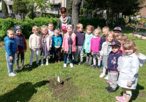 Dzieci z grupy 4-latków wokół "drzewka szczęścia" w ogrodzie przedszkolnym.
