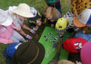Dzieci ustawione w kole układają na kartce obrazki leśnych zwierząt.