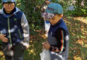 Trzech chłopców chodzi po ogrodzie przedszkolnym, jeden trzyma siatkę z uzbieranymi orzechami.