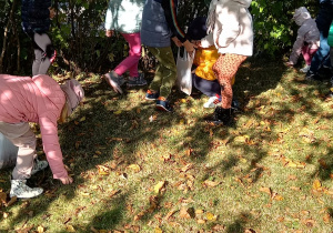 Przedszkolaki szukają skarbów jesiennych w ogrodzie przedszkolnym.