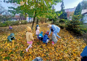 Maluszki zbierają liście, porządkują plac wokół przedszkola.