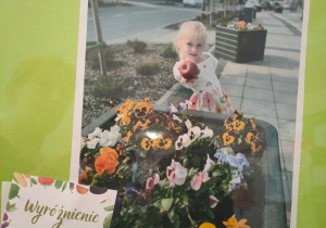 Dziewczynka trzyma jabłko przed nią kolorowe bratki w donicy, dalej część ulicy Żeromskiego w naszym mieście.