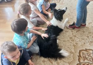 Dzieci siedzą na dywanie i głaszczą psa rasy border collie.