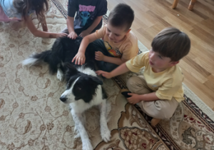 Dzieci siedzą na dywanie i głaszczą psa rasy border collie.