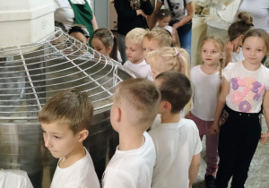 Zdjęcie 20 na 20