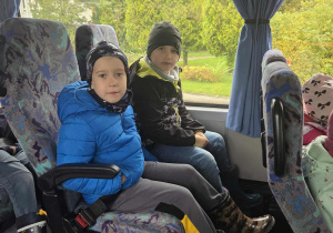 Zdjęcie 3 na 29