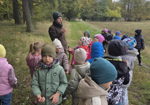 Zdjęcie 22 na 29
