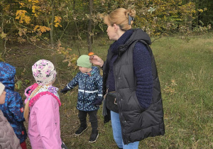 Zdjęcie 24 na 29
