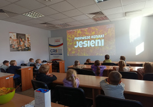 Słoneczka oglądają film - Pierwsze oznaki jesieni.