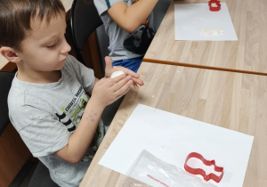 Motylki podczas twórczej pracy.