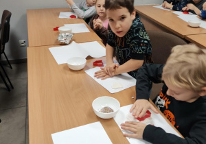 Motylki podczas twórczej pracy.