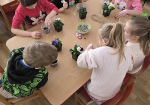 Sadzenie bratków przy stoliczkach pod nadzorem prowadzących warsztaty.