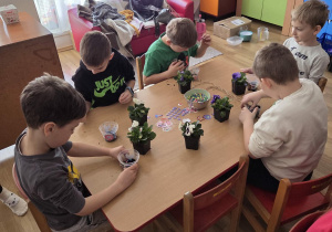 Sadzenie bratków przy stoliczkach pod nadzorem prowadzących warsztaty.