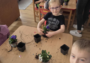 Sadzenie bratków przy stoliczkach pod nadzorem prowadzących warsztaty.