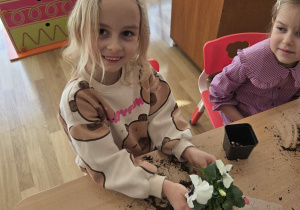 Sadzenie bratków przy stoliczkach pod nadzorem prowadzących warsztaty.