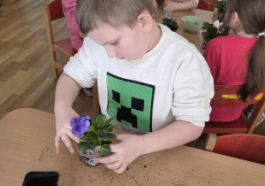 Sadzenie bratków przy stoliczkach pod nadzorem prowadzących warsztaty.