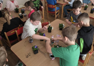 Sadzenie bratków przy stoliczkach pod nadzorem prowadzących warsztaty.