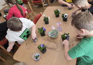 Sadzenie bratków przy stoliczkach pod nadzorem prowadzących warsztaty.