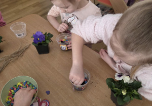 Sadzenie bratków przy stoliczkach pod nadzorem prowadzących warsztaty.