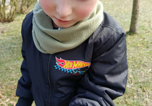 Wiosna pod postacią biedronki usiadła na kurtce Franusia.